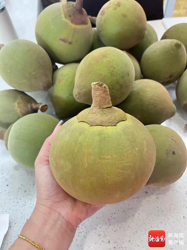 海南解锁新水果椰蜜果