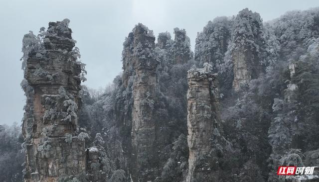 大寒时节雪纷飞 张家界国家森林公园雪景如画