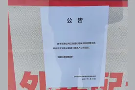 老板烧光62亿跑路？上海一科技公司被曝突然解散，数百人原地失业！员工：业务太杂，还领养了800多只猫！劳动监察部门已介入图片