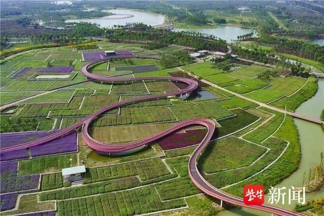 北大教授巴西坠机而亡，爱旅行的你绕不开他的设计