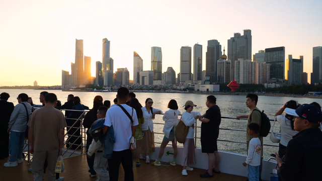 青岛“鸥”耶！在奥帆“追鸥逐浪”，背景板是城市天际线！