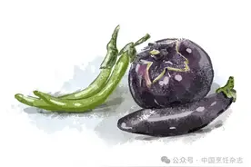 如果茄子有鄙视链图片