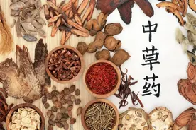 这菜不起眼，却比黄芪补气、比当归补血！入冬要多吃图片