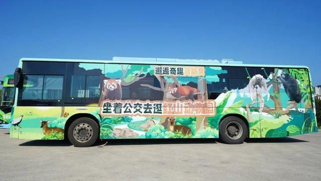 把红山动物园“搬”上车！南京最萌公交车来了