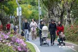 春深日暖花袅袅 福州“春日经济”别样红图片