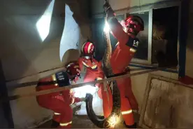 秋冬交替“蛇出没”，这份防蛇咬安全贴士请收好图片