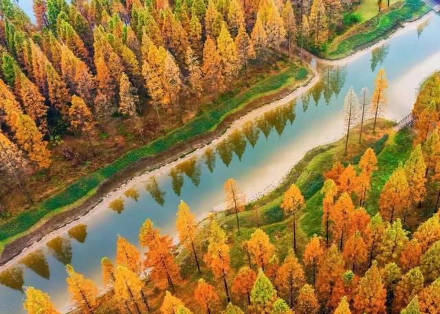 一路秋色一路景，走起~