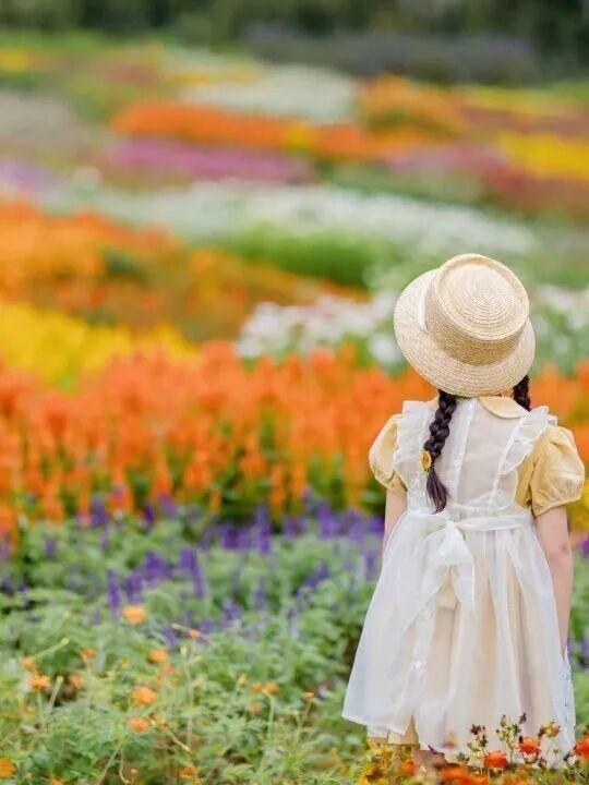 街头大量出现！常州人都已经捡上了