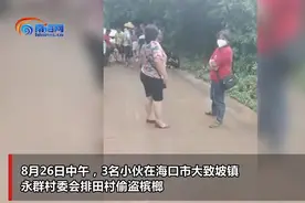 海口3名男子白天偷槟榔被群众抓获图片