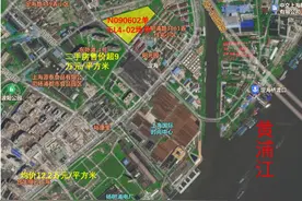 溢价26.3%！保利置业42.4亿元竞得上海杨浦宅地，楼板价80199元/平方米图片