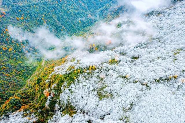 重要通知 | 2025年11月30日（本周日），瓦屋山景区预订人数已达上限，未预约票务的游客请勿前往。