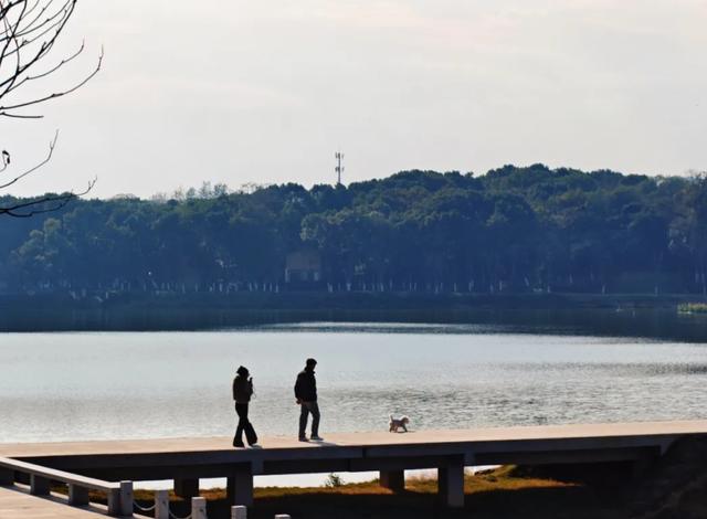 南昌新晋打卡地！鱼目山公园冬日限定浪漫等你来解锁