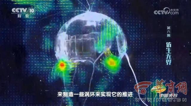 深海魅影！西工大研制出“水下幽灵”——仿生水母机器人