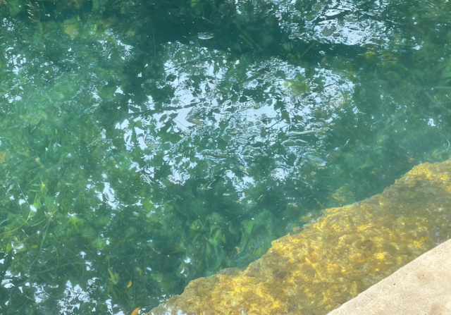 顺义古泉“苏醒”！干涸28年的金鸡塘泉何以复涌？