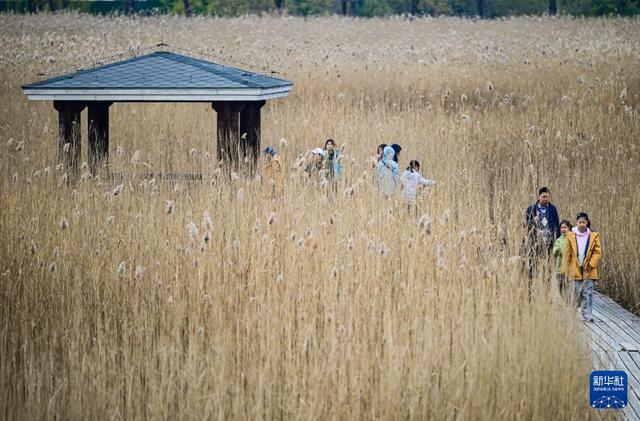 初冬园博园，周末好时光