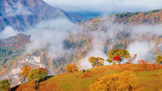 诗情秋意 遇见白山 | 长白县：秘境明珠——吉林长白的“诗与远方”