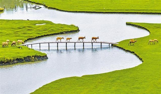 美丽中国