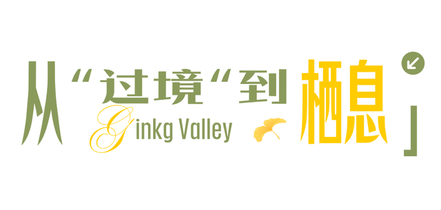 银杏谷,不止秋天!