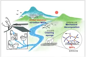 厨房常用的清洁海绵，1克就能释放650万个微塑料！减少摄入记住5点图片