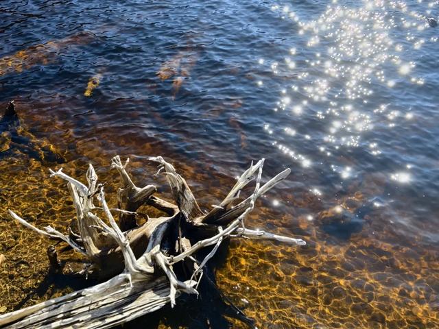 打卡推荐 | 来螺髻山找回生活的“Passion”