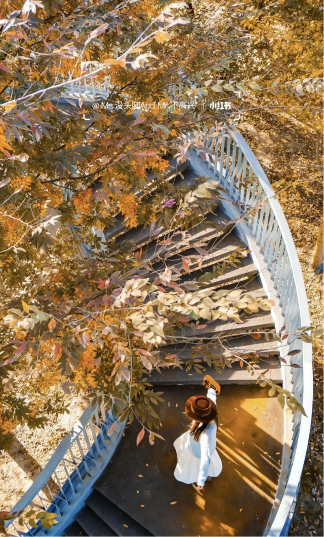 网红纷纷奔赴这！上海这座通往 “欧洲城堡” 的绝美旋梯火了！