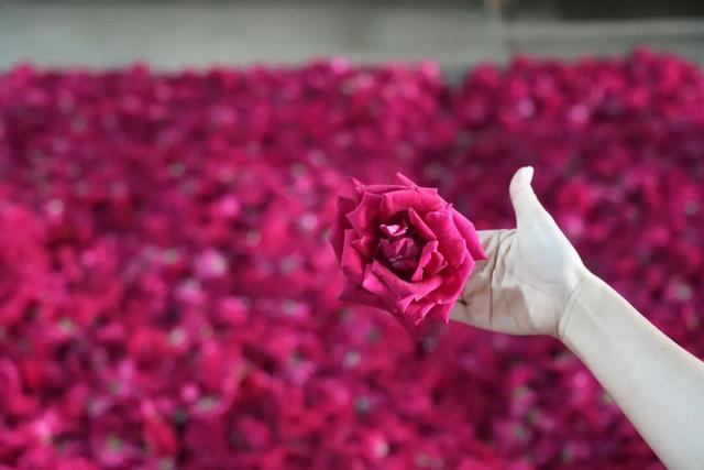 别宅家！赴一场20℃的暖冬旅居之约