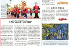 茯苓产业再添“国字招牌”图片