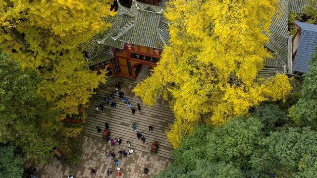 世界文化遗产咋保护传承？青城山—都江堰给出答案