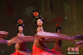 加拿大卡尔加里华人团体举办乙巳迎春晚会图片
