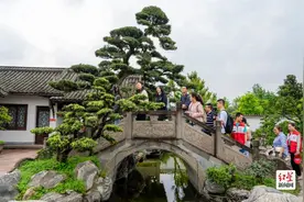 五一假期成都持续火爆 免费游世园会看大熊猫！图片