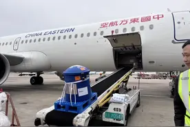 全国首例CAR-T细胞治疗药品实现跨境运输使用图片