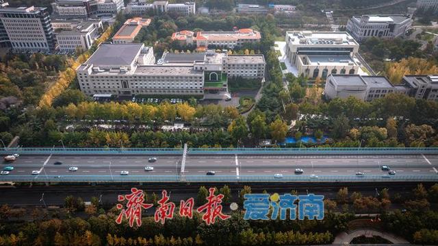 济南二环南路秋日生态与都市繁华交织，绘就别样风景