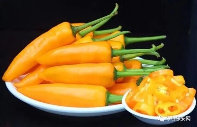 跟着演唱会游三明 | 绿都的舌尖风味与人文温度，等你来pick！