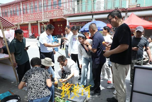 光影寻韵邹平城 网聚文旅新声量—2026网络名人采风行圆满举办