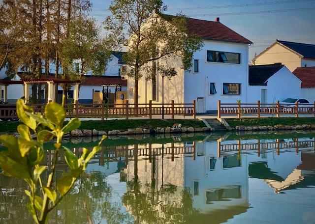 哇，青浦这条红色线路的初冬太美了~