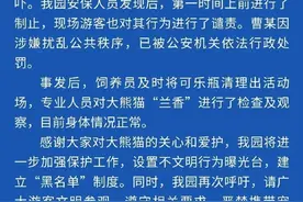 他向大熊猫“兰香”投掷可乐瓶！重庆动物园最新通报图片