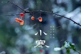 健康小站丨小寒宜灸三大要穴，固本扶元温补阳气图片