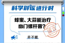 蜂蜜、大蒜能治疗幽门螺杆菌？图片