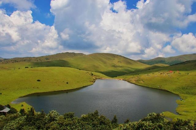 大理鸟吊山保护区能徒步吗？洱源县：出于生态保护和安全考虑，禁止游客进入