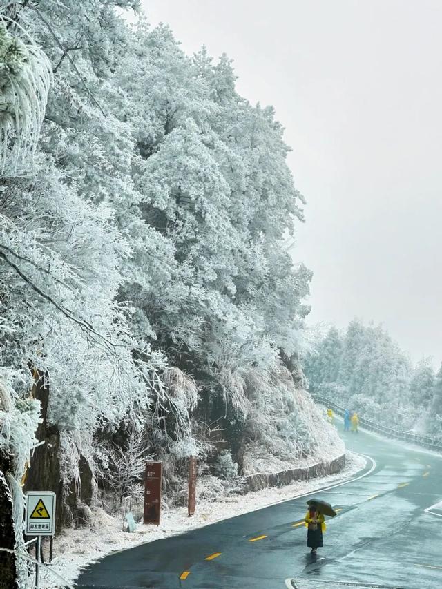 羊狮慕雪国仙境已上线｜大雪持续中，快来福山赏雪！