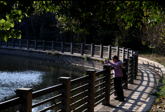 南溪山公园，藏在闹市中的暖阳秘境