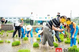 科普讲解+农耕实践+趣味互动，无锡这场活动为孩子搭建多元成长平台图片