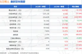 北方稀土（600111）2025年一季报简析：营收净利润同比双双增长，盈利能力上升图片