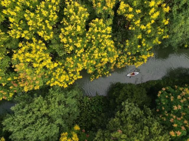 限定玩法～青浦玩水露营好去处→