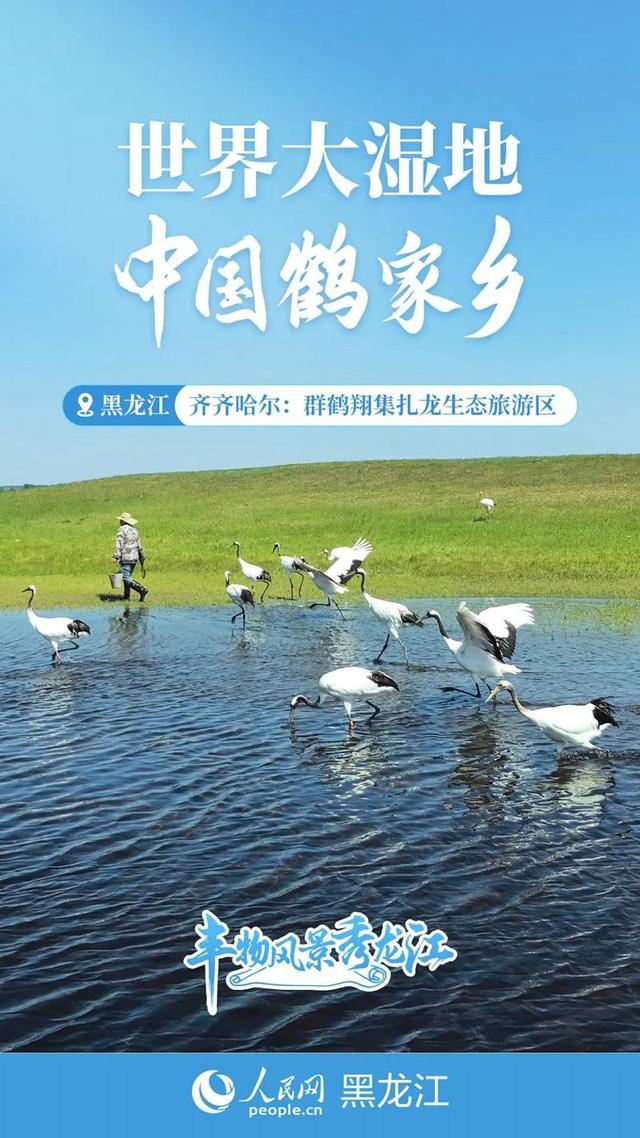 丰物风景秀龙江｜黑土地的夏日“奋进曲”