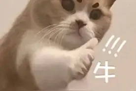 消暑饮喝错也伤身｜清凉一夏图片