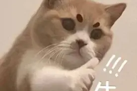 消暑饮喝错也伤身｜清凉一夏图片