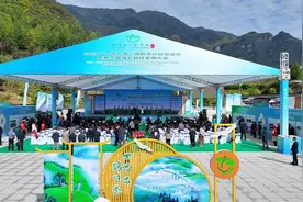 2024“一带一路”国际茶叶经贸洽谈暨第六届湖北鹤峰茶商大会举办图片