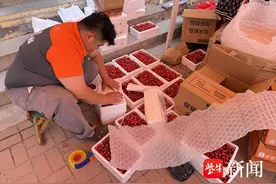 “樱桃专线”来啦！周边省份快递“次日达”，物流成本节省30%图片