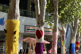 给树“穿毛衣”走红网络，专家提醒：毛衣穿久可能生虫图片